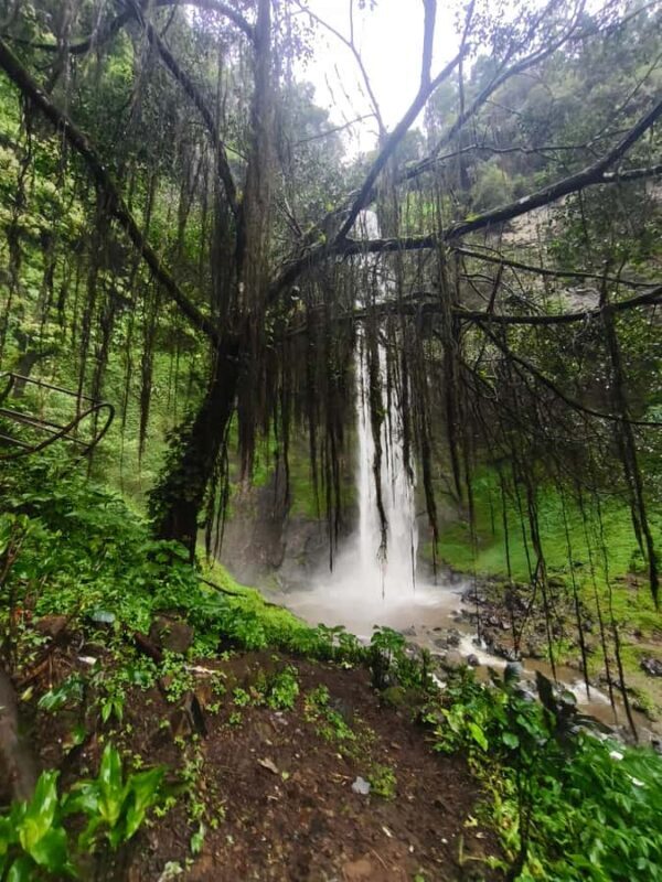 Start 10am Bandung Group Tour Volcano, Waterfalls, Hotspring - Lunch and Scenic Views