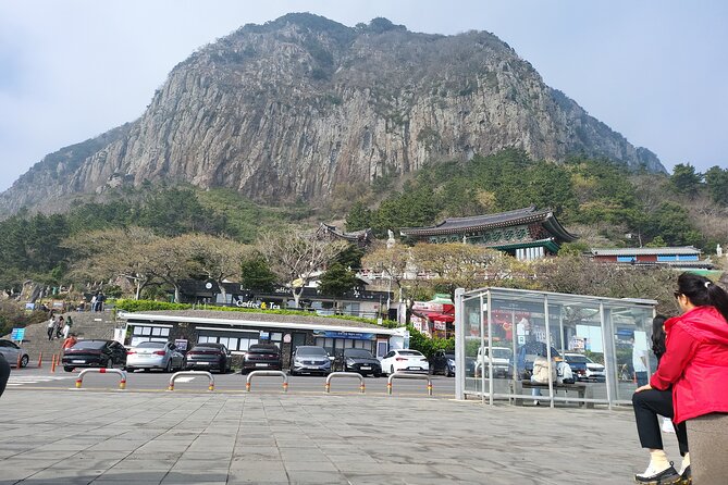 Start at Jeju Airport and Take a Tour of the West Side, Then Drop off in Seogwipo. - Airport Arrival and Pick-Up Arrangements