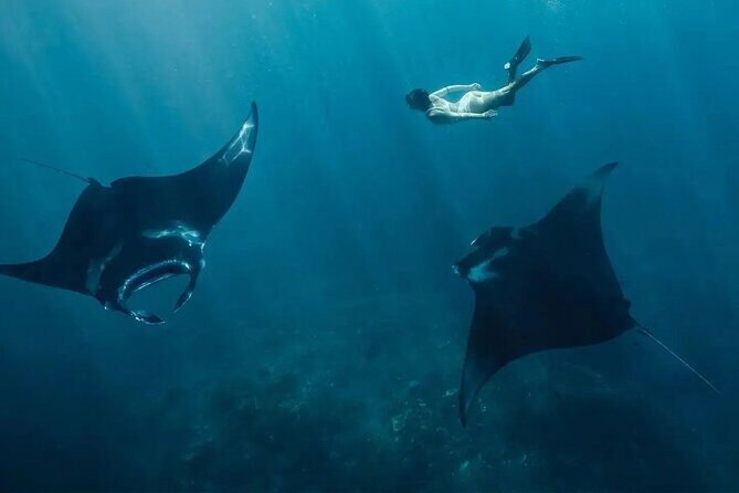 Start at Nusa Penida, Snorkeling Manta Rays + Land Tour shared - What You Can Expect from the Tour