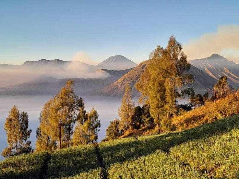 Start From Surabaya: Mount Bromo Sunrise Shared Guided Tour - FAQ