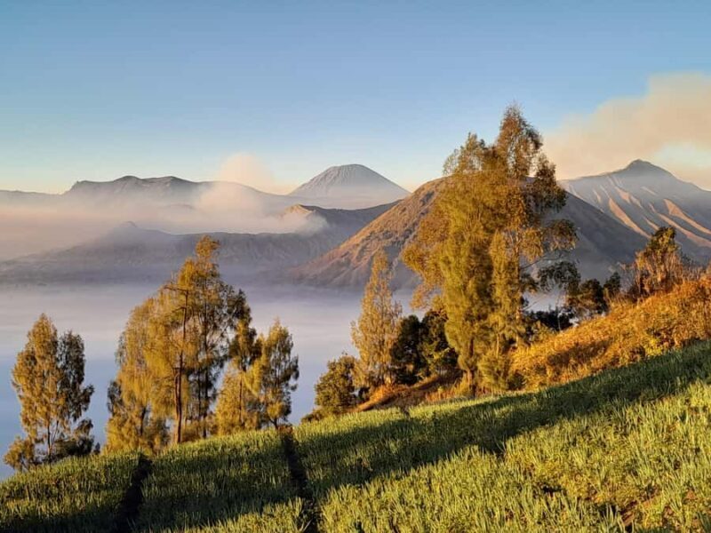 Start From Surabaya: Mount Bromo Sunrise Shared Guided Tour - The Itinerary Breakdown: What Makes Each Step Special