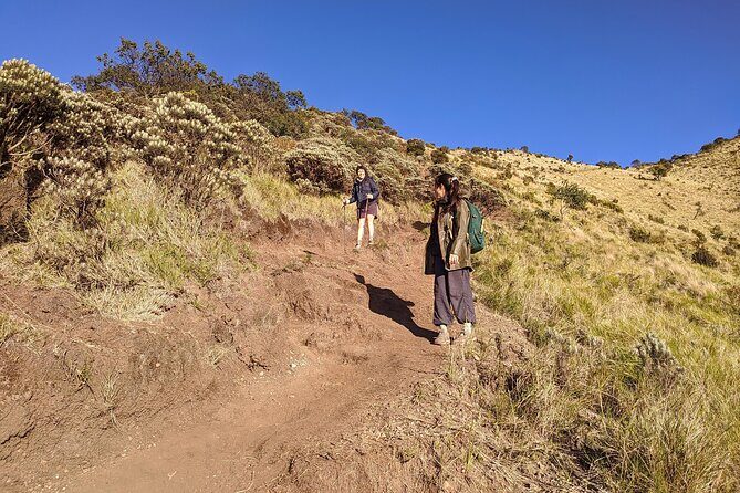 Start from Yogyakarta Mount Merbabu Shared Guided Tour - The Sum Up