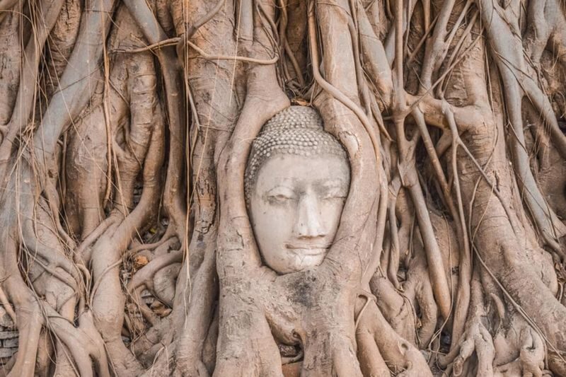 Start slowly in the morning! Half-day tour of the World Heritage Ayutthaya Ruins: Tour 5 major ruins (departing from Bangkok / with Japanese guide) (E5) - Wat Chaiwatthanaram, the final temple stop