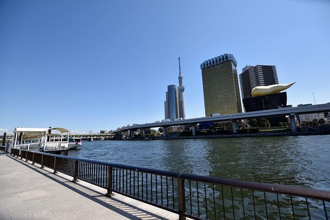 Starter Tour in Tokyo _Visiting Must-See Spots and Practical Guidance - Must-See Spots in Tokyo