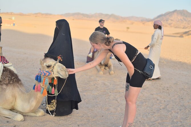 Starwatching, Camel Ride and Romantic Dinner in Hurghada Safari - Pickup Information