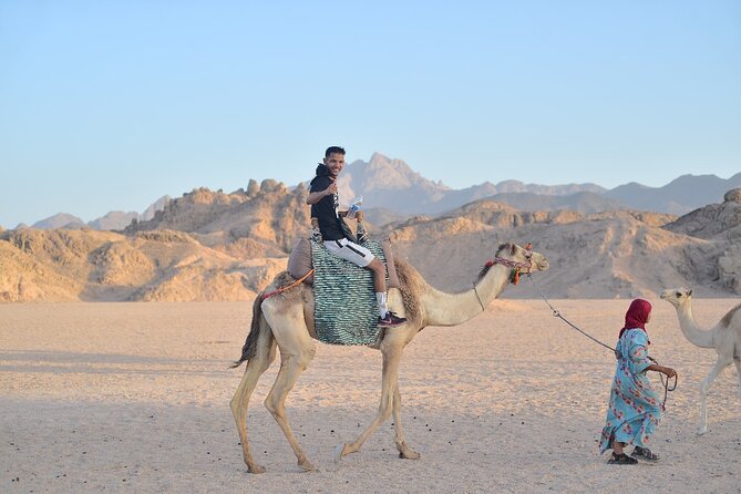 Starwatching, Camel Ride and Romantic Dinner in Hurghada Safari - Customer Reviews