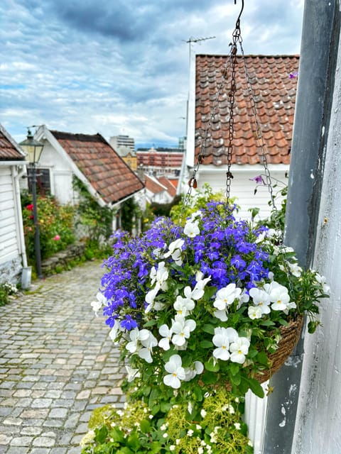Stavanger Guided City Tour - Accessibility and Inclusion