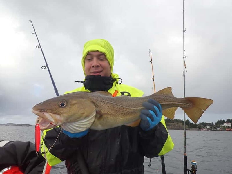 Stavanger: Lysefjord Cruise, Fishing, and Dinner Tour - Why This Tour Stands Out