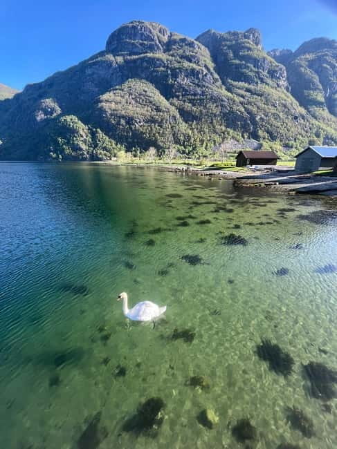 Stavanger: Månafossen Waterfall and Via Ferrata Bouldering - Good To Know