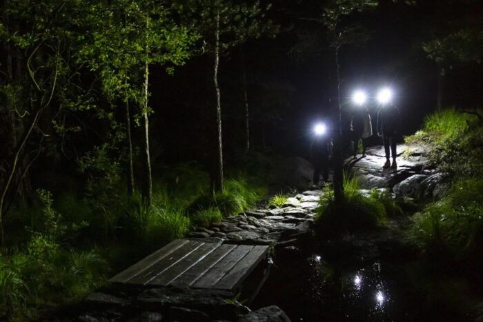 Stavanger: Preikestolen Sunrise Hike with Breakfast Buffet - The Real Value of the Sunrise Hike