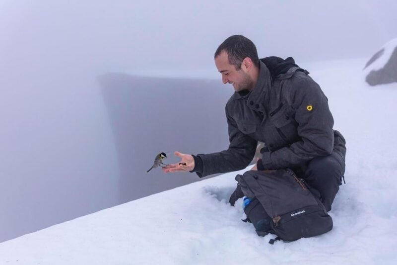 Stavanger: Preikestolen Winter Hike + Hot Lunch - Good To Know