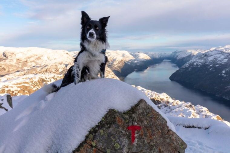 Stavanger: Preikestolen Winter Hike + Hot Lunch - Reaching Preikestolen: A Truly Iconic Viewpoint