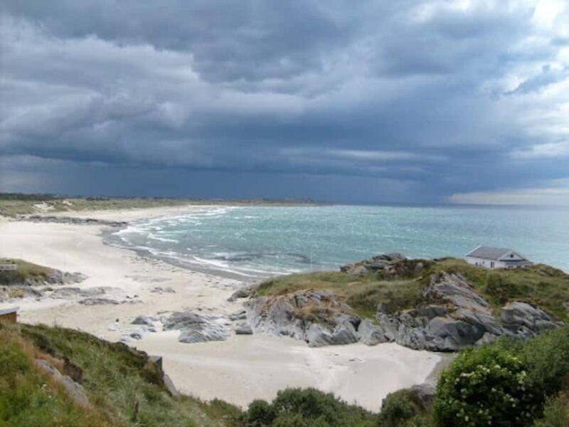 Stavanger: Sights & Highlights Minibus Tour and Museum Entry - The Sum Up