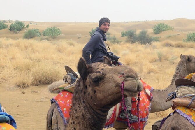 Stay Under The Billions Stars Overnight Camel Safari Tour - An In-Depth Look at the Experience