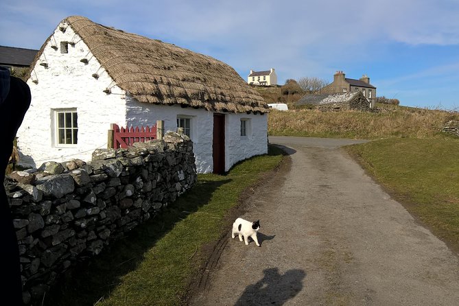 Steam Trains and Castles With Qualified Isle of Man Tour Guide - Traveler Reviews