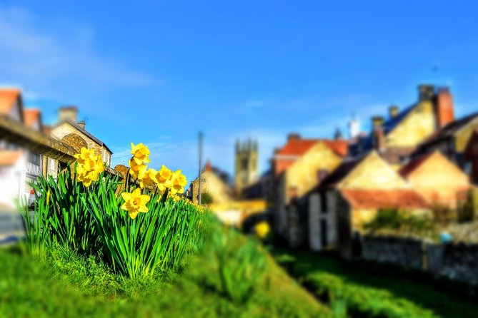 Steam Trains, Whitby, and the North York Moors Full-Day Tour From York - Tour Details