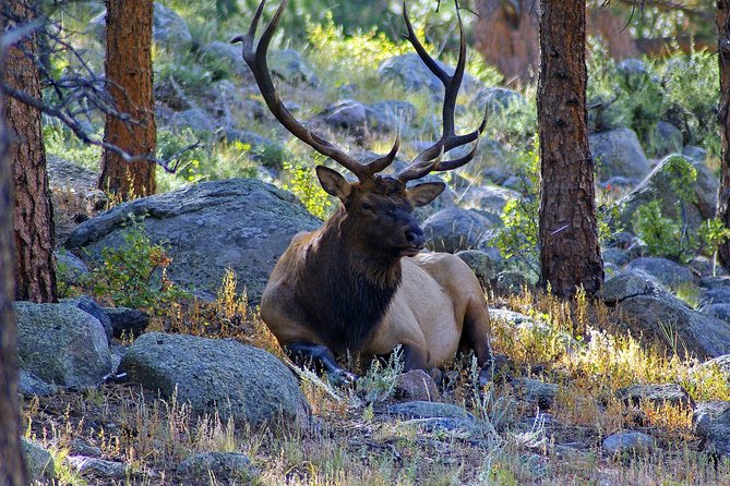 Steamboat Springs Scavenger Hunt - Overview and Experience