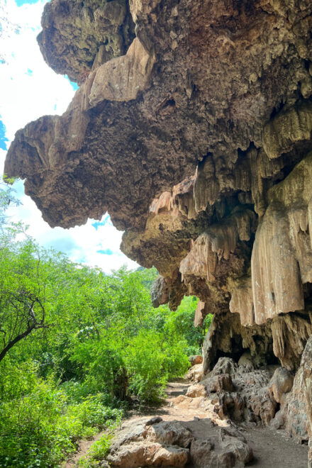 Steer Route: Tour of the Ruins and Tasting in Mazatan - Inclusions