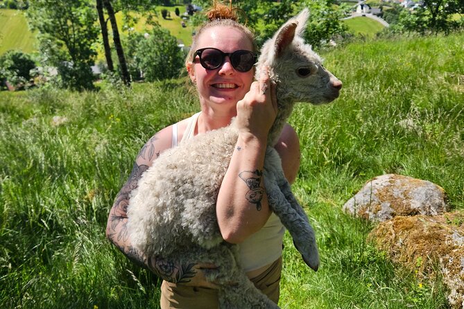 Steim Farm Experience in Vik, Norway - Frequently Asked Questions