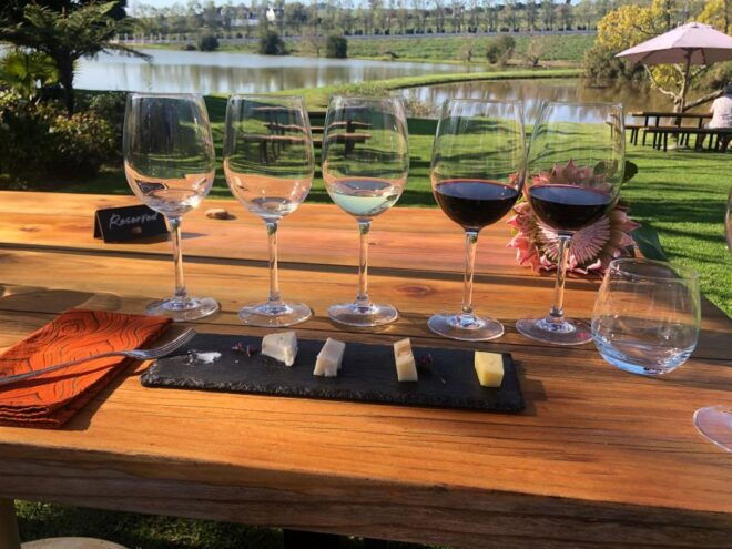 Stellenbosch: Daily Diffirent Small Group Full Day Wine Tour - Experience Description