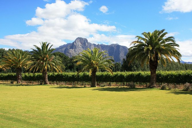 Stellenbosch & Franschhoek Cape Winelands Wine Tasting (Day Tour) - Cancellation and Changes Policy