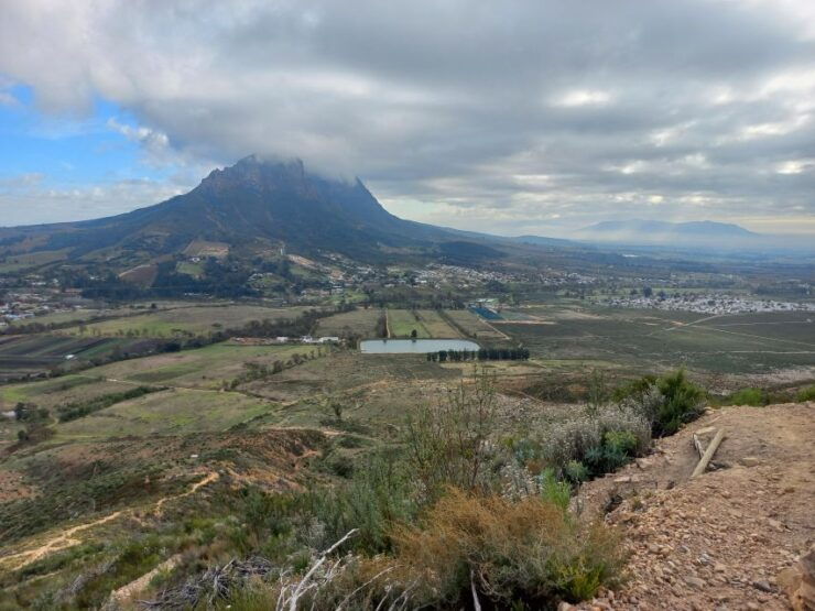 Stellenbosch: Half-Day Guided Nature Hike and Wine Tasting - Tour Highlights