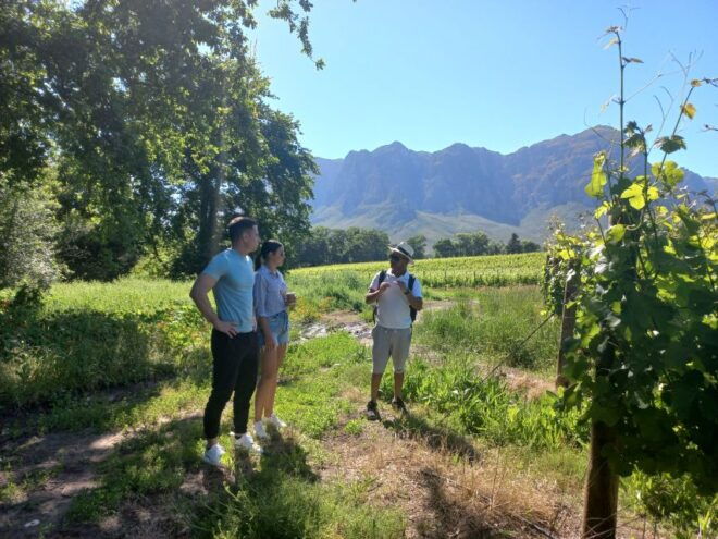 Stellenbosch: Half-Day Guided Nature Hike and Wine Tasting - Duration and Group Size