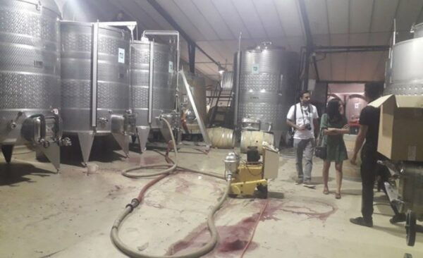 Stellenbosch: Half-Day Wine Tour - Recommendation