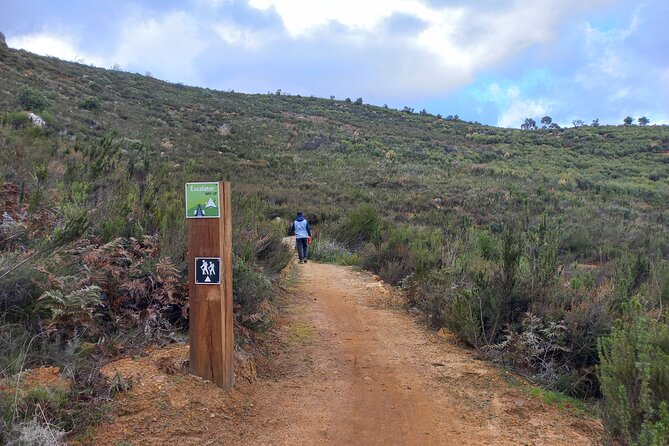 Stellenbosch Hike & Wine Tasting - Wine Tasting Experience