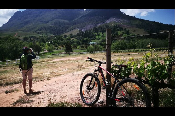Stellenbosch Private E-Bike & Wine Tour - Specific Review Example