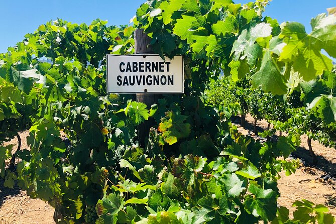 Stellenbosch Small Group Wine Tasting Tour From Cape Town - The Sum Up