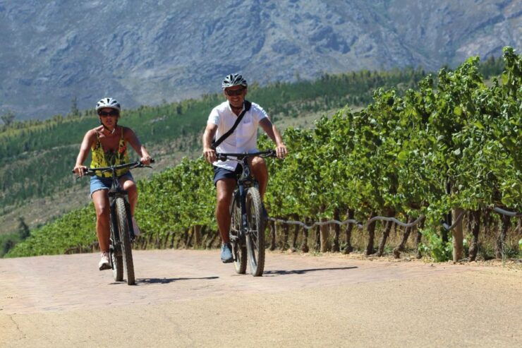 Stellenbosch: Wine Farm E-Bike Guided Tour - Good To Know