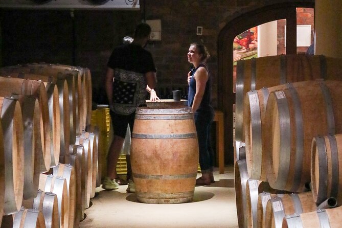 Stellenbosch Winelands Luxury Ebike Tour - Pick-up at Skilpadvlei Wine Estate