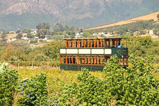Stellenbosch Winelands Wine-Tasting Tour From Cape Town - Artisan Chocolate and Wine Pairing