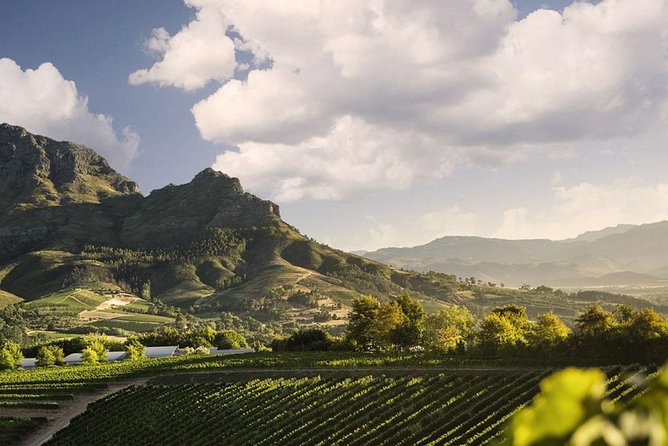 Stellenbosch Winelands Wine-Tasting Tour From Cape Town - Scenic Drive Back to Cape Town