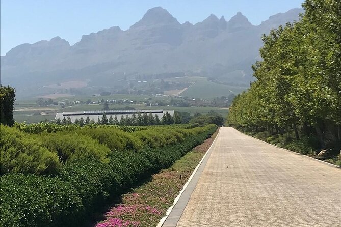 Stellenbosch Wineries, Private City Tour and Wildlife Bigcats - Booking Details