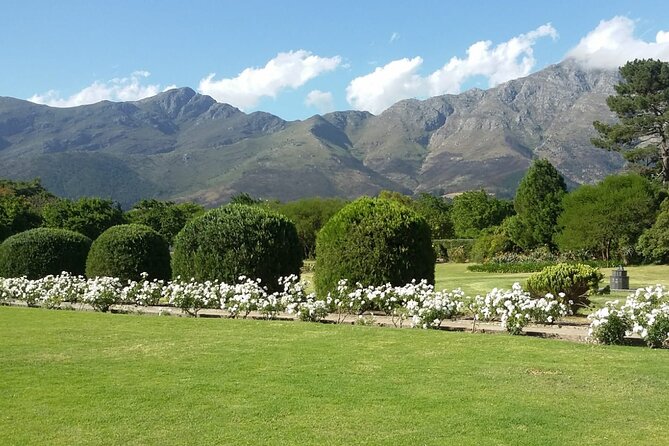 Stellenbosch Wineries, Private City Tour and Wildlife Bigcats - Reservation Process