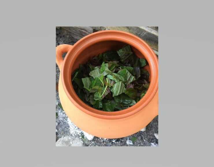 Step Back in Time and Cook Like an Ancient Cretan Crete - Activity Details