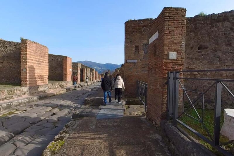 Step Back in Time: Pompeii Guided Tour with Naples Pick up - Good To Know