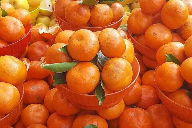 Steps Full of Flavor, Cancun Foodie & Market Tour - Practical Details and Tips