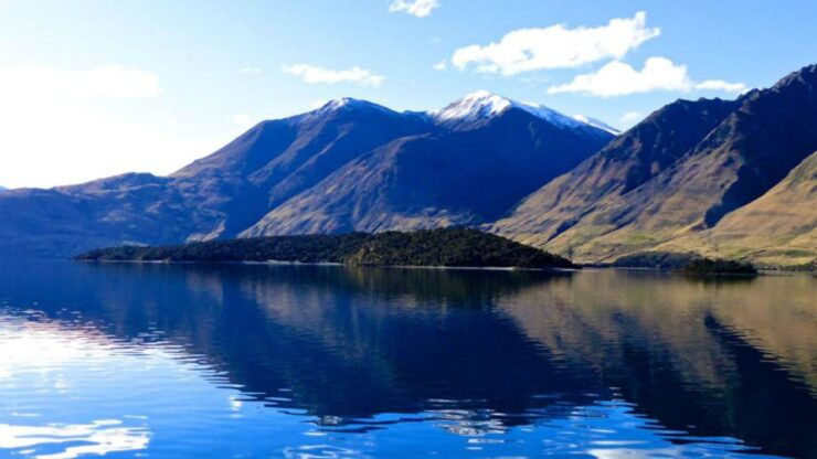 Stevensons Island 2-Hour Cruise and Nature Walk - Experience Highlights