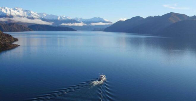 Stevensons Island 2-Hour Cruise and Nature Walk - Stevensons Island Guided Tour