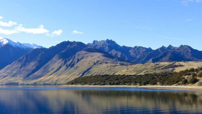 Stevensons Island 2-Hour Cruise and Nature Walk - Breathtaking Scenery of Lake Wanaka