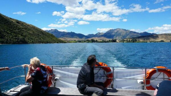 Stevensons Island 2-Hour Cruise and Nature Walk - Customer Reviews and Recommendations