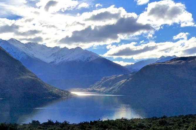 Stevensons Island Cruise and Nature Walk From Wanaka - Accessible Options for Strollers and Service Animals