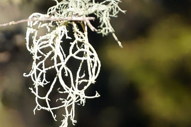 Stevensons Island Cruise and Nature Walk From Wanaka - Weather Conditions and Cancellation Policy