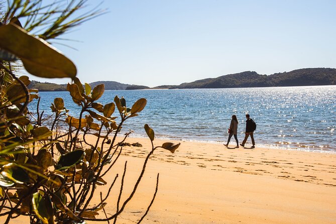 Stewart Island Fly Explore Fly Ex Queenstown by Glenorchy Air - Activity Details and Policies