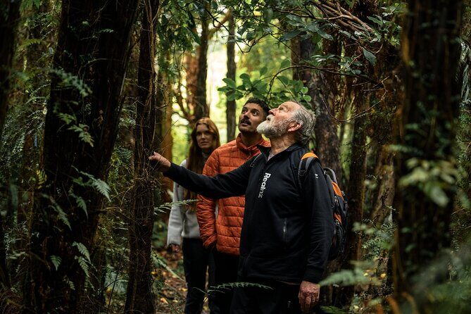 Stewart Island Guided Wilderness Walk - The Itinerary in Detail