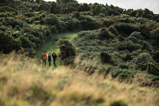 Stewart Island Guided Wilderness Walk - Who Is This Tour Best For?