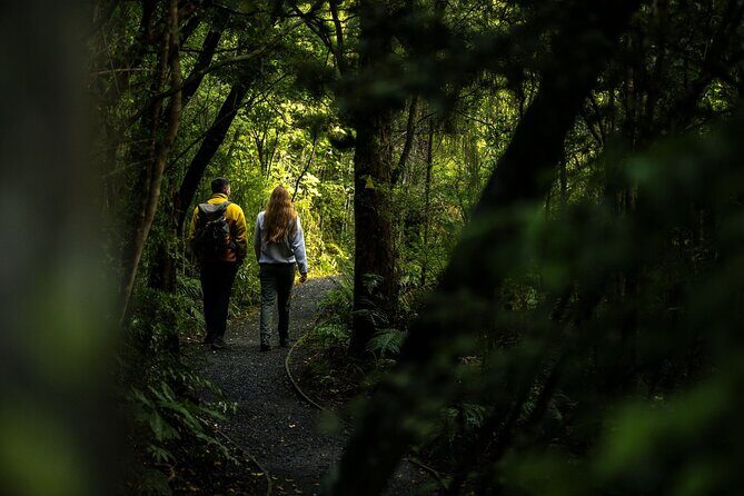 Stewart Island Guided Wilderness Walk - The Sum Up